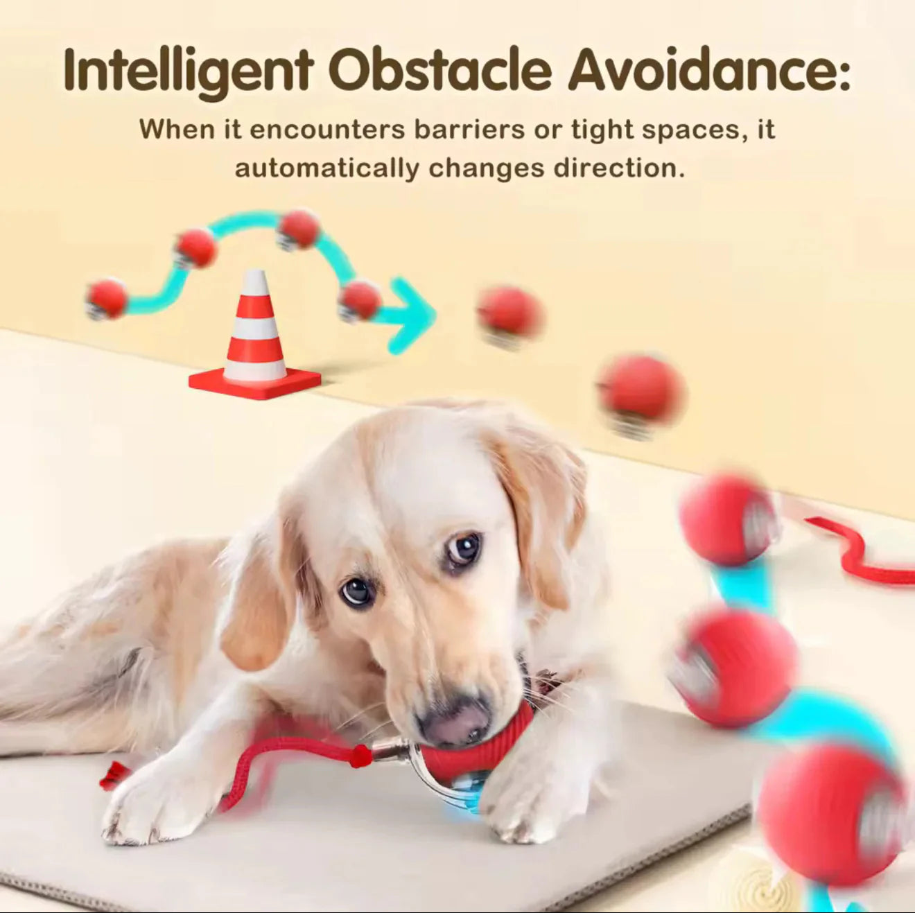 ✨HOT SALE 70% OFF✨🎄50K+;Cat&Dog toy ball cat&dog toy electric moving ball toy