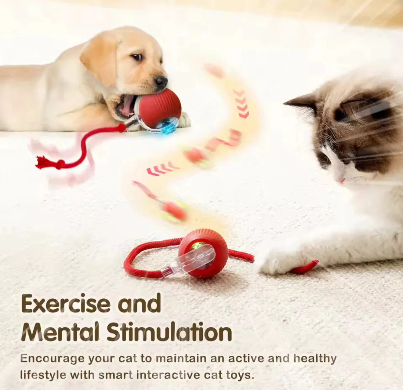 ✨HOT SALE 70% OFF✨🎄50K+；Cat&Dog toy ball cat&dog toy electric moving ball toy