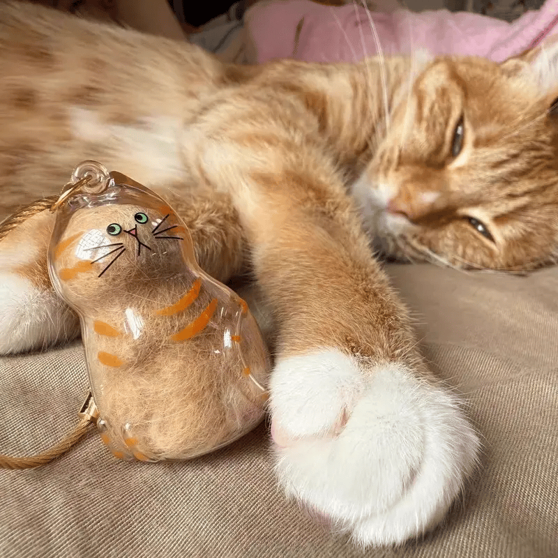 🐾1 Count Transparent Cat Hair Storage Capsule Keychain,🐱 Keepsake Decoration for Cat Lovers, 6 Cute Cat Designs Available💕
