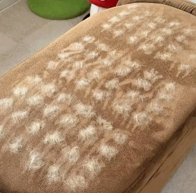 Buy 1 Get 1 Free🔥Electrostatic Pet Hair Removal Grooming Gloves