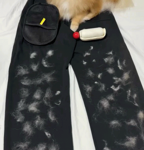 Buy 1 Get 1 Free🔥Electrostatic Pet Hair Removal Grooming Gloves