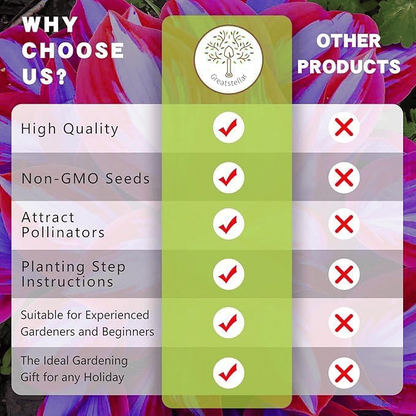 🍃 Rare Coleus seeds, ideal for perennial shade garden ornamental foliage, suitable for outdoor landscaping🌿