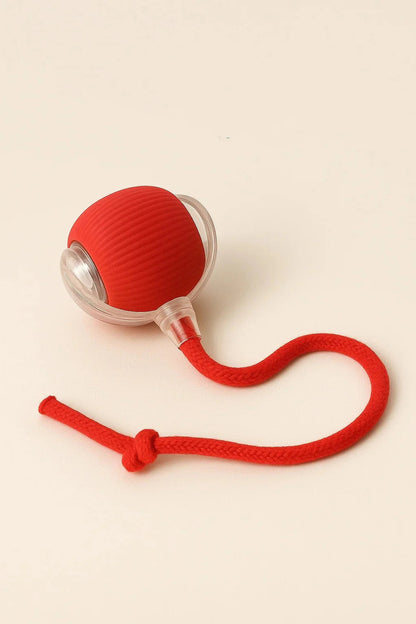 ✨HOT SALE 70% OFF✨🎄50K+；Cat&Dog toy ball cat&dog toy electric moving ball toy