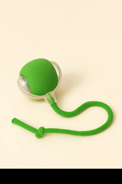 ✨HOT SALE 70% OFF✨🎄50K+；Cat&Dog toy ball cat&dog toy electric moving ball toy